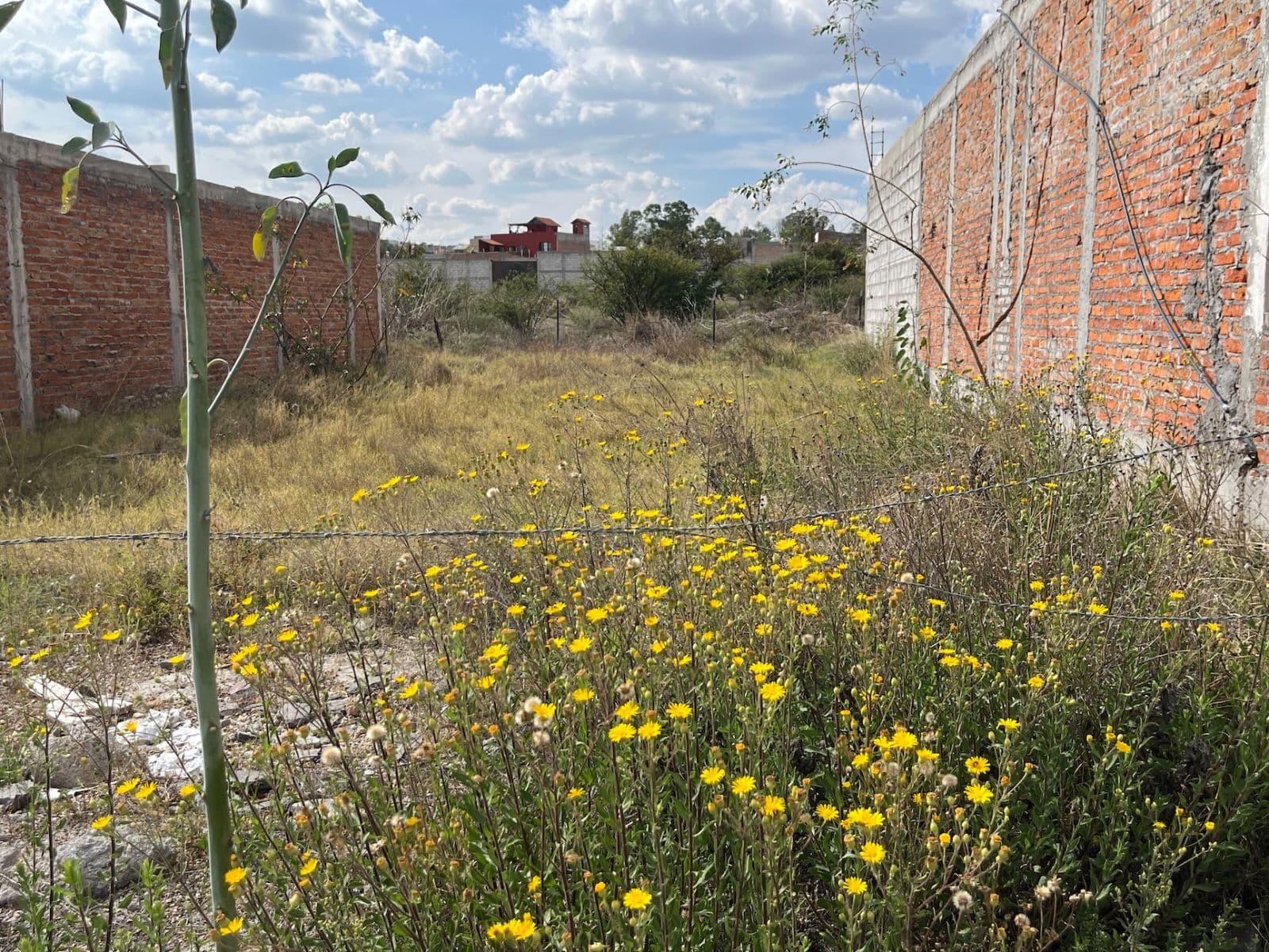 Saltito de Guadalupe Lot — photo 8 of 9