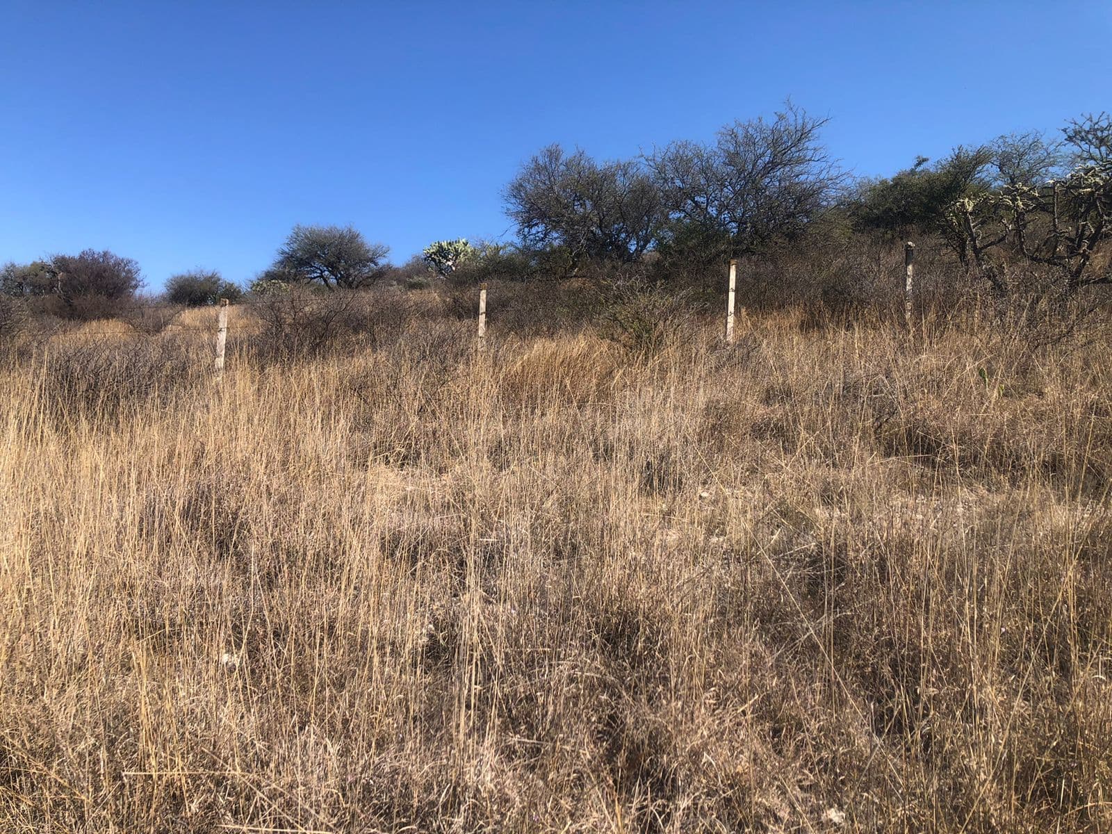 Lote Levy — photo 7 of 10