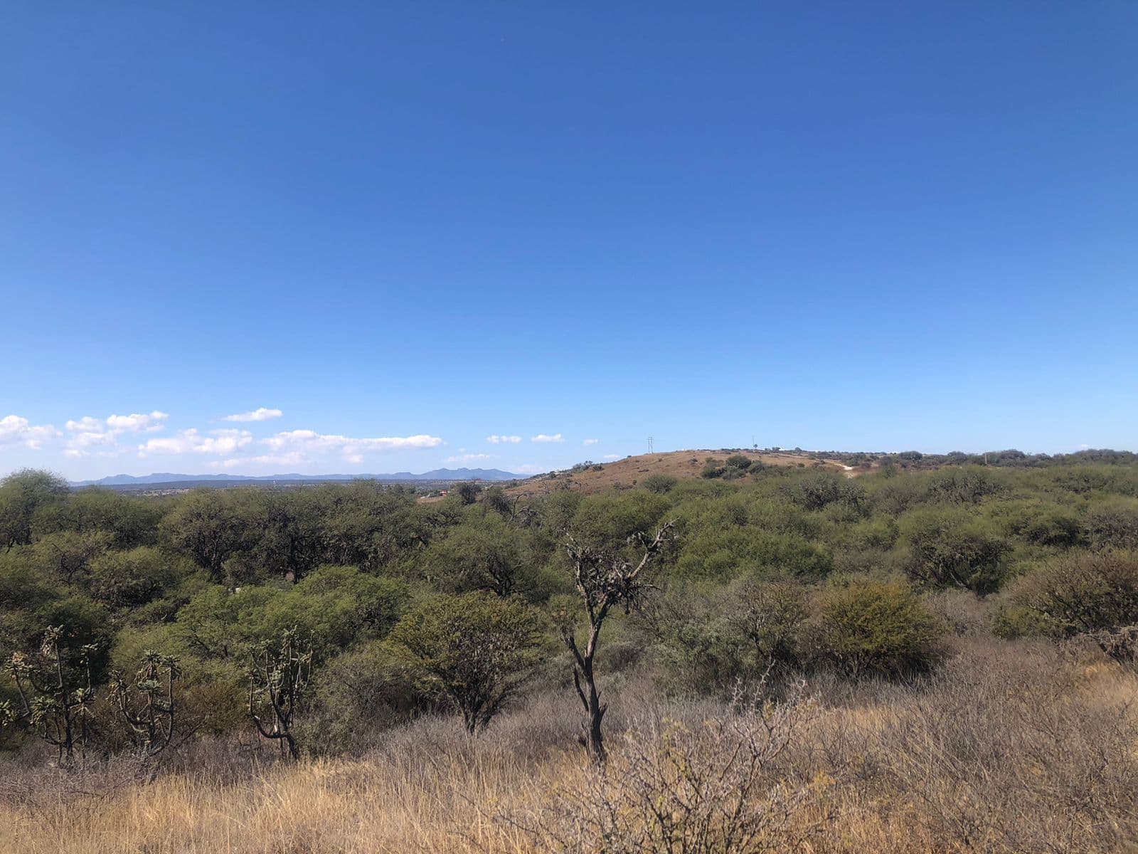 Lote Levy — photo 8 of 10