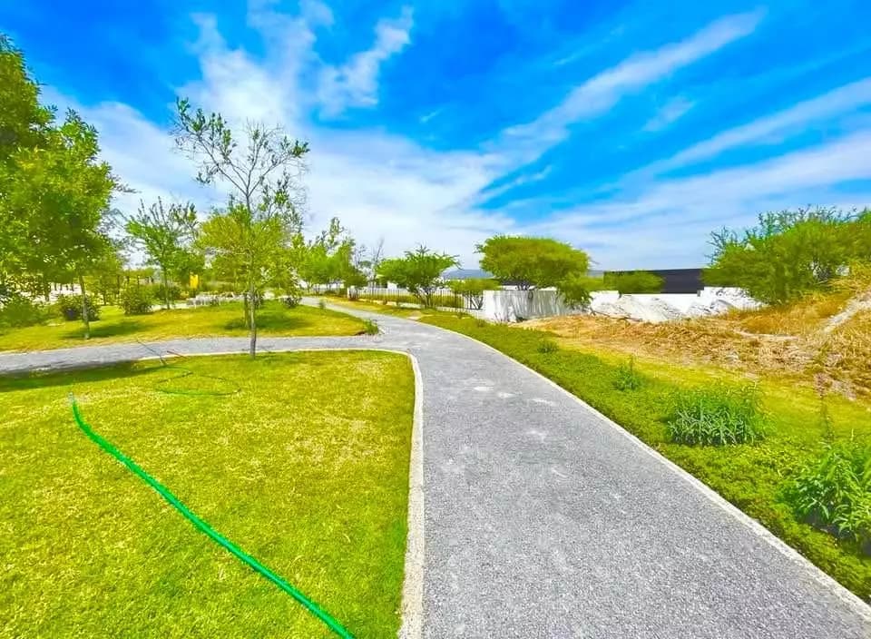 Lote Mítico — photo 4 of 10