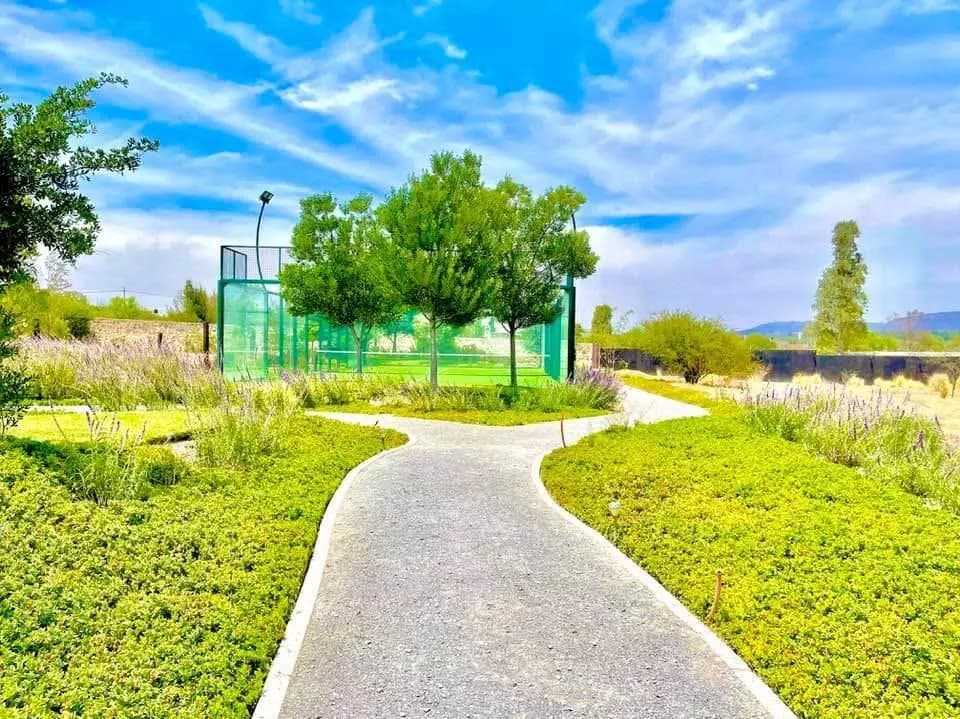Lote Mítico — photo 5 of 10