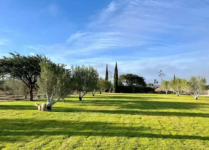 Rancho La Fenice — photo 5 of 10