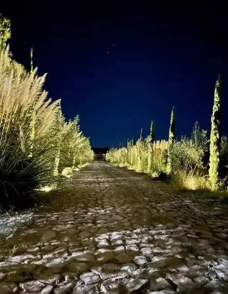 Rancho La Fenice — photo 7 of 10
