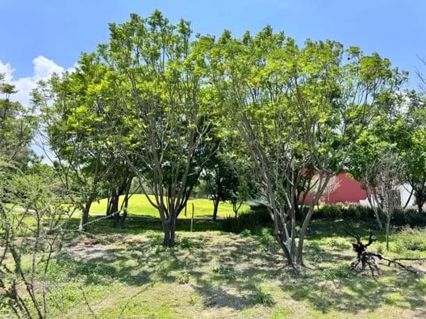 Lote 45 Manzana 7 — photo 1 of 10