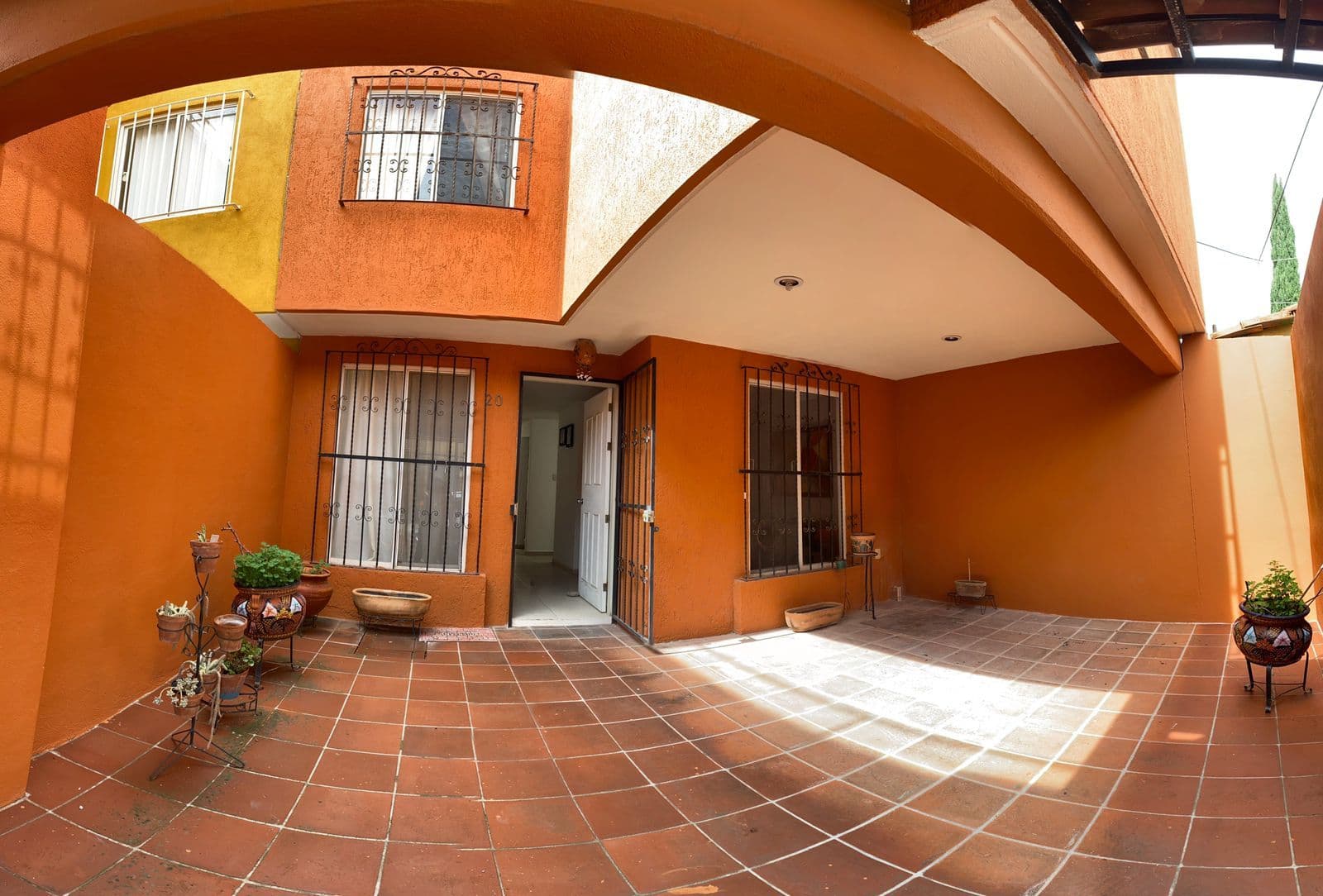 Nuevo Mexiquito — photo 5 of 10