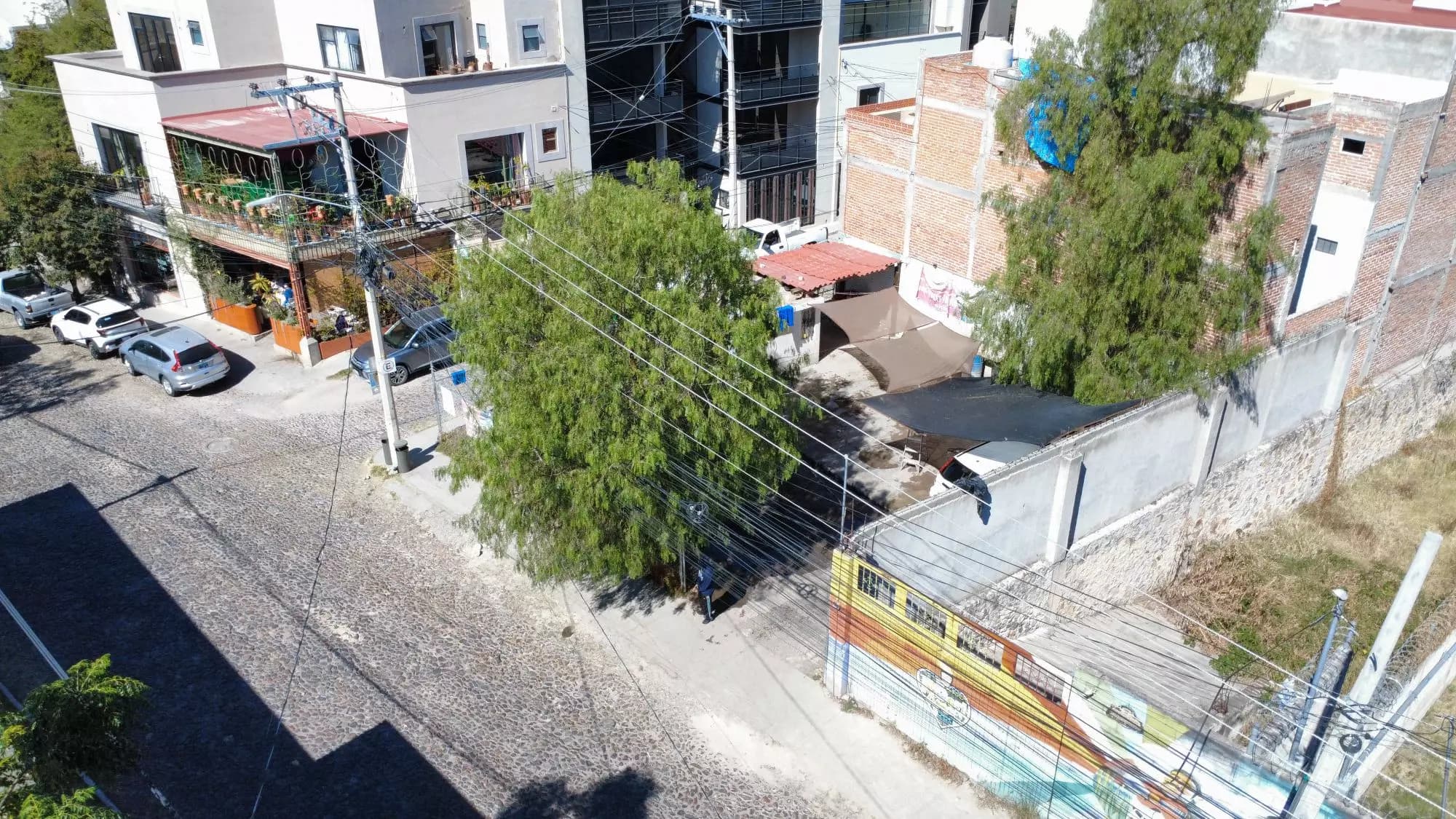 Lote Stirling Dickinson — photo 4 of 10