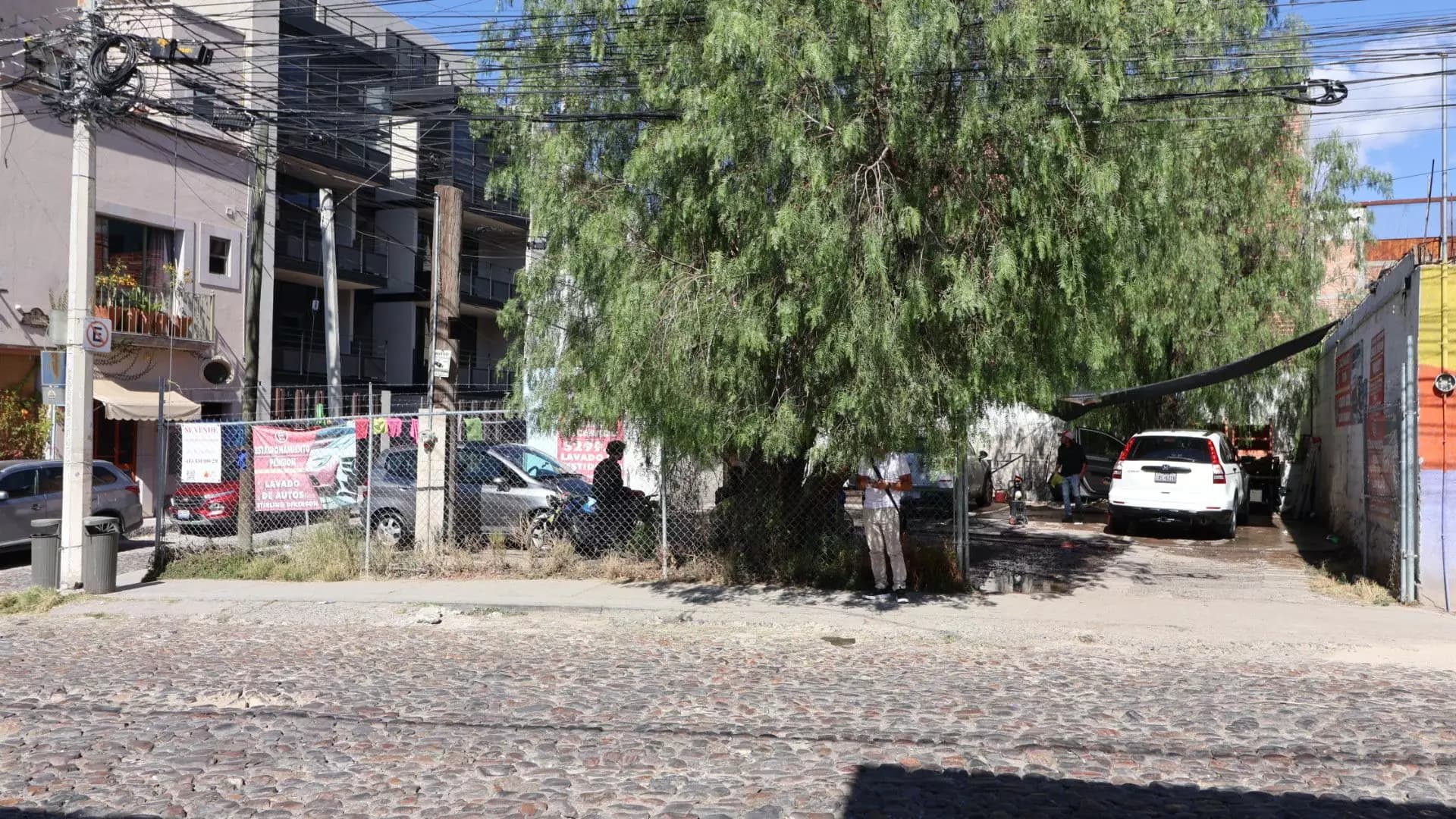 Lote Stirling Dickinson — photo 9 of 10