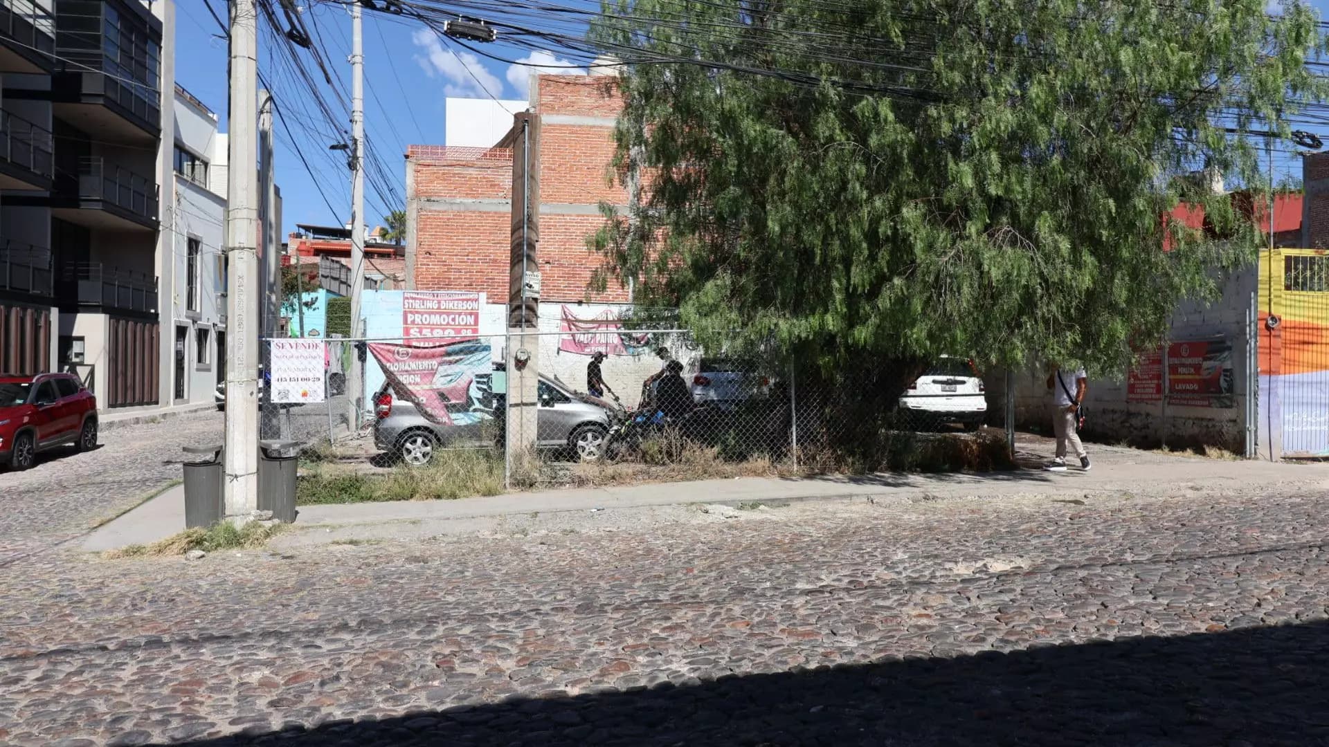 Lote Stirling Dickinson — photo 10 of 10