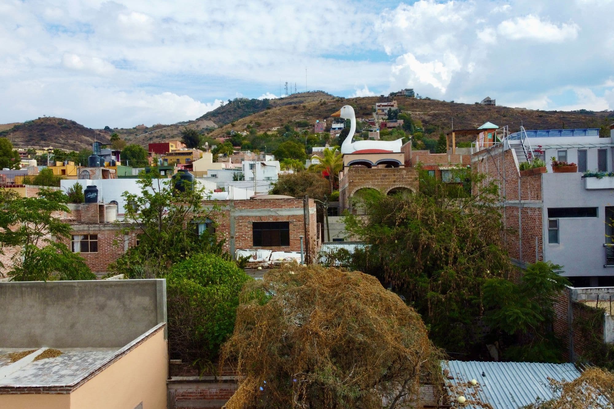 Terreno Oportunidad Colonia Allende — photo 2 of 7