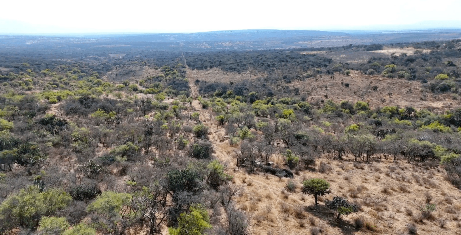 Terreno en Cruz del Palmar — photo 9 of 10