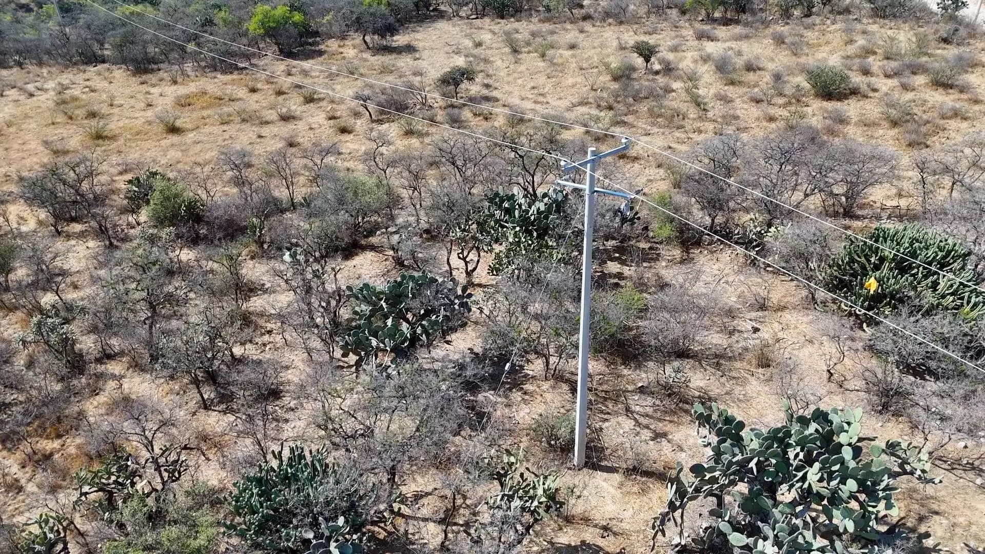 Terreno en Cruz del Palmar — photo 7 of 10