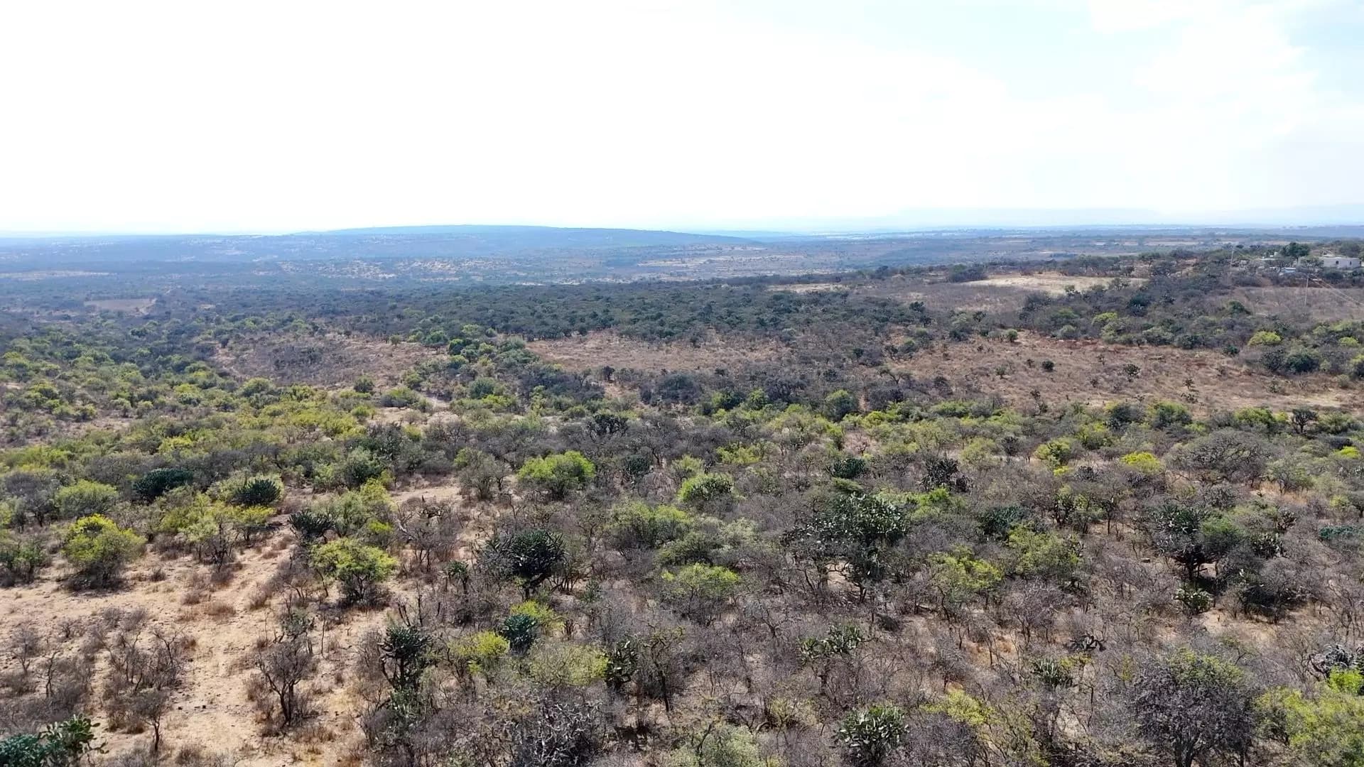 Terreno en Cruz del Palmar — photo 6 of 10