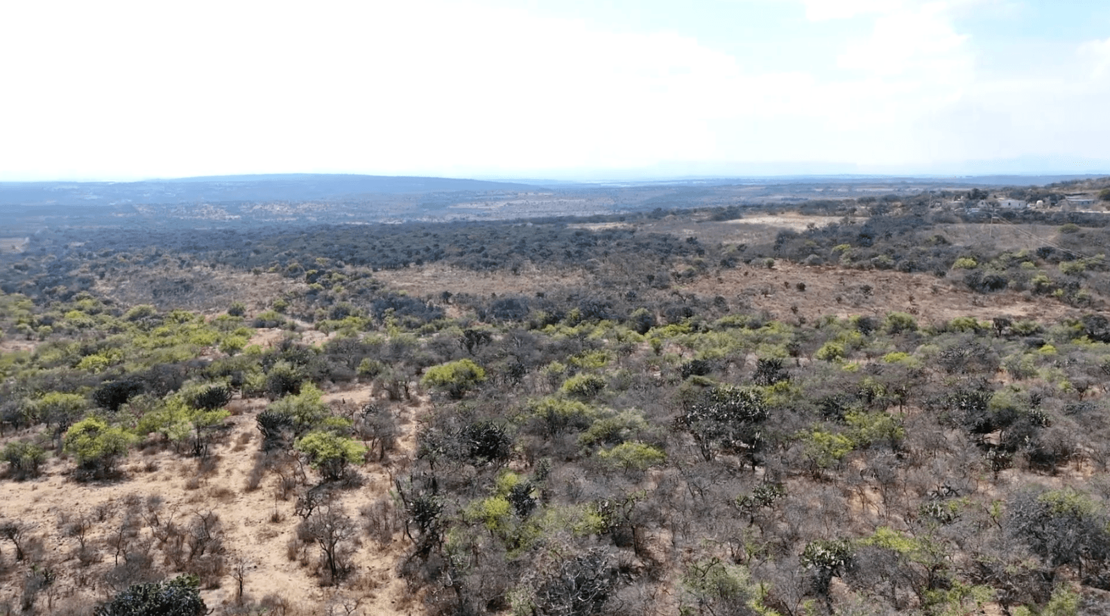 Terreno en Cruz del Palmar — photo 7 of 10