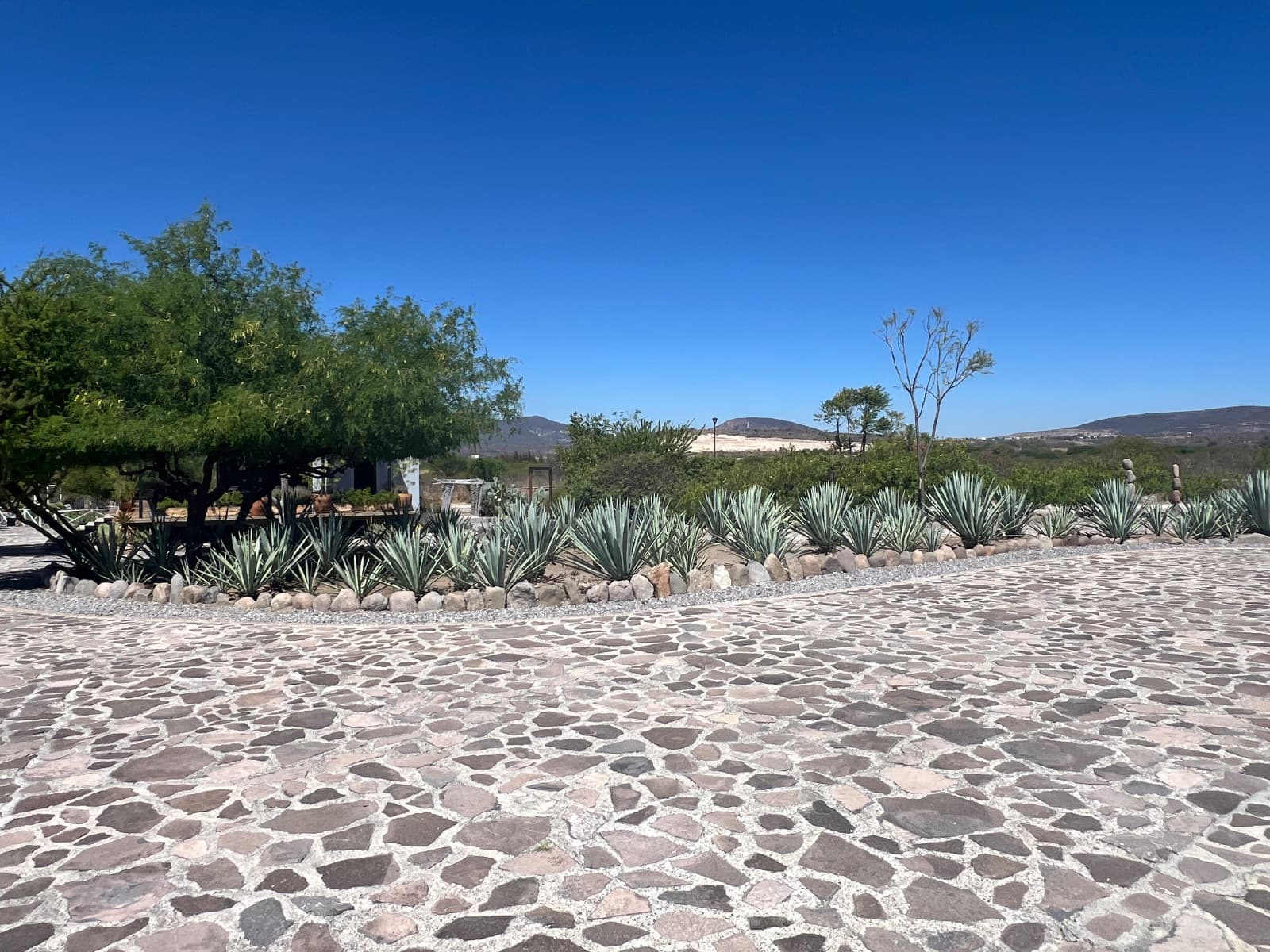 RoburAgrihood, lote 155 — photo 6 of 6