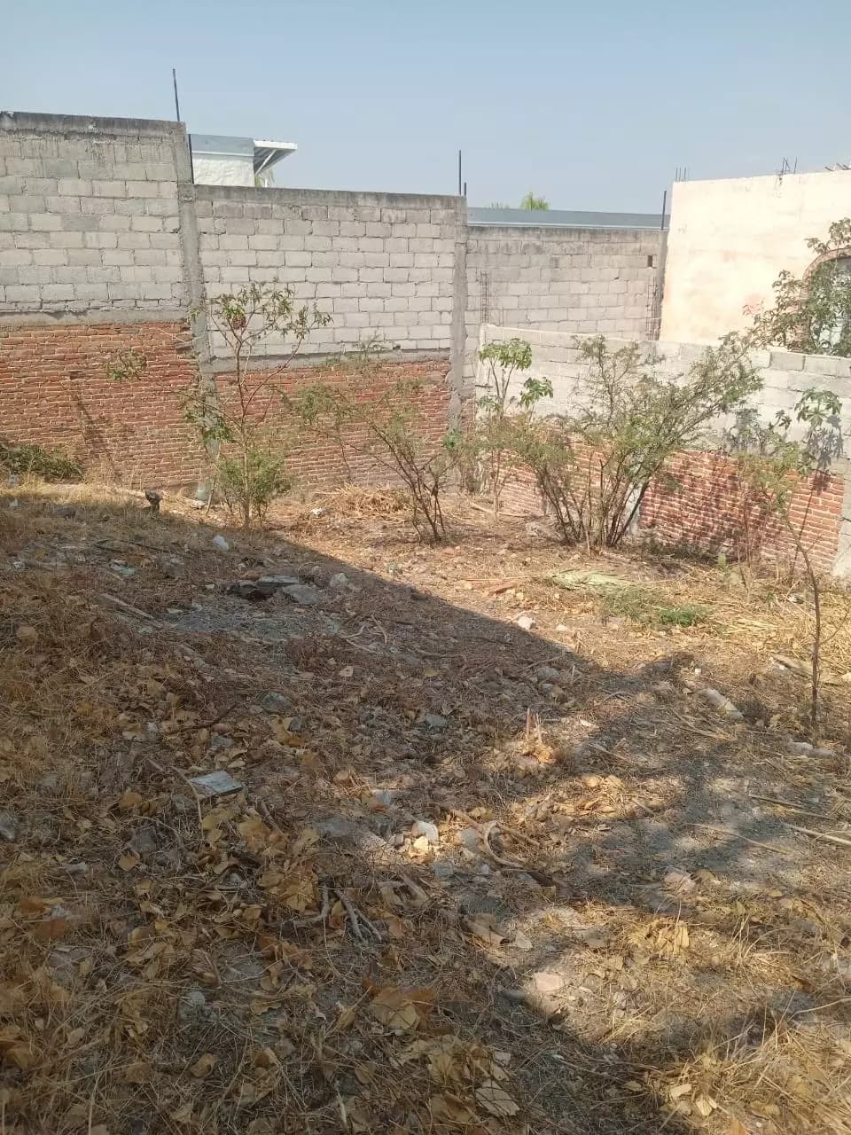 LOTE VERACRUZ