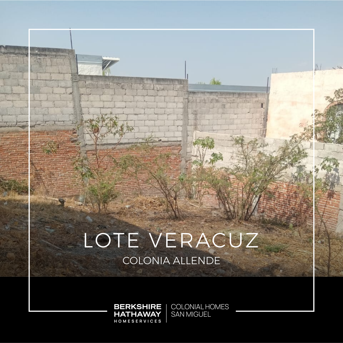 LOTE VERACRUZ