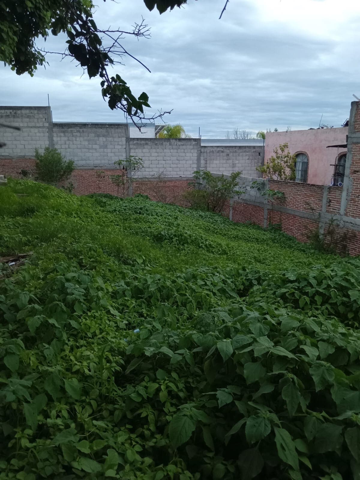 LOTE VERACRUZ — photo 3 of 3