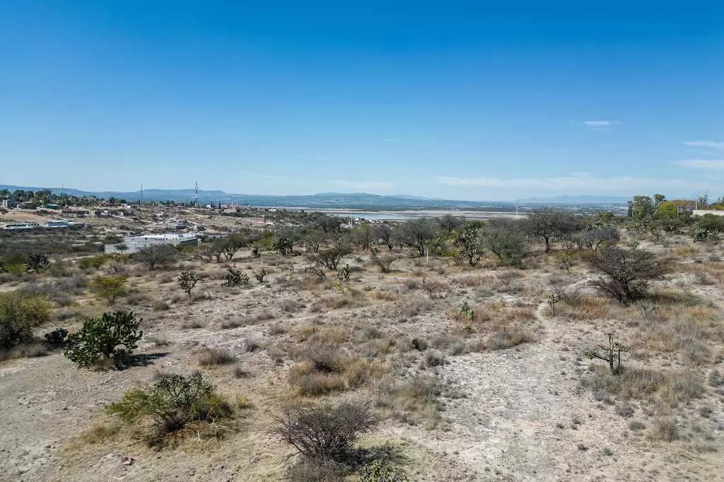 Don Diego Lot 6 — photo 3 of 10