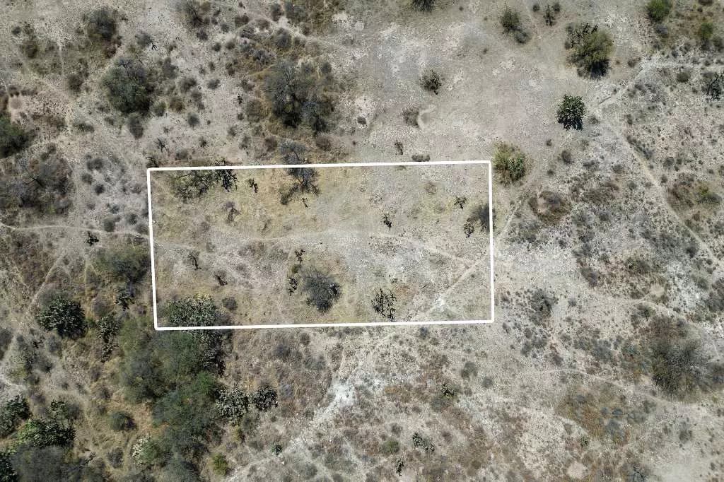 Don Diego Lot 6 — photo 5 of 10