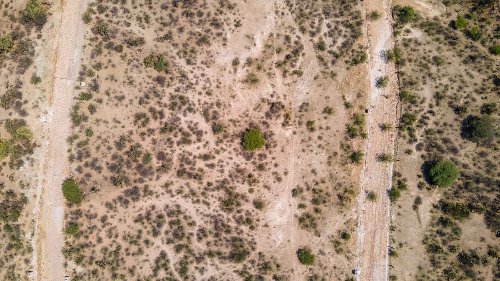 La Presa Lot — photo 7 of 10