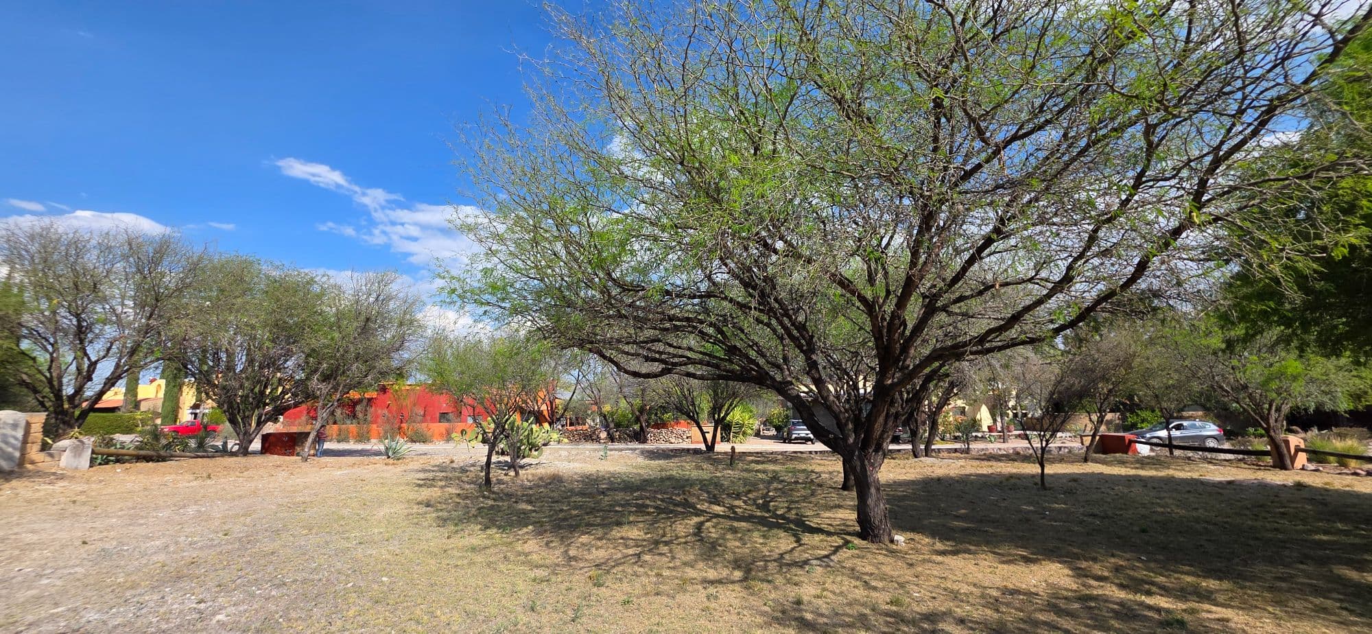 Lot for Sale in Los Labradores — photo 7 of 10