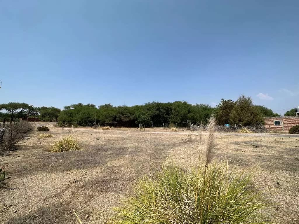 Terreno De Aves — photo 1 of 10