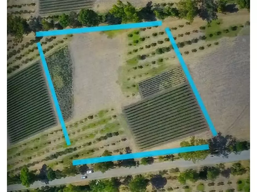 Homesite in Viñedo San Lucas — photo 5 of 10