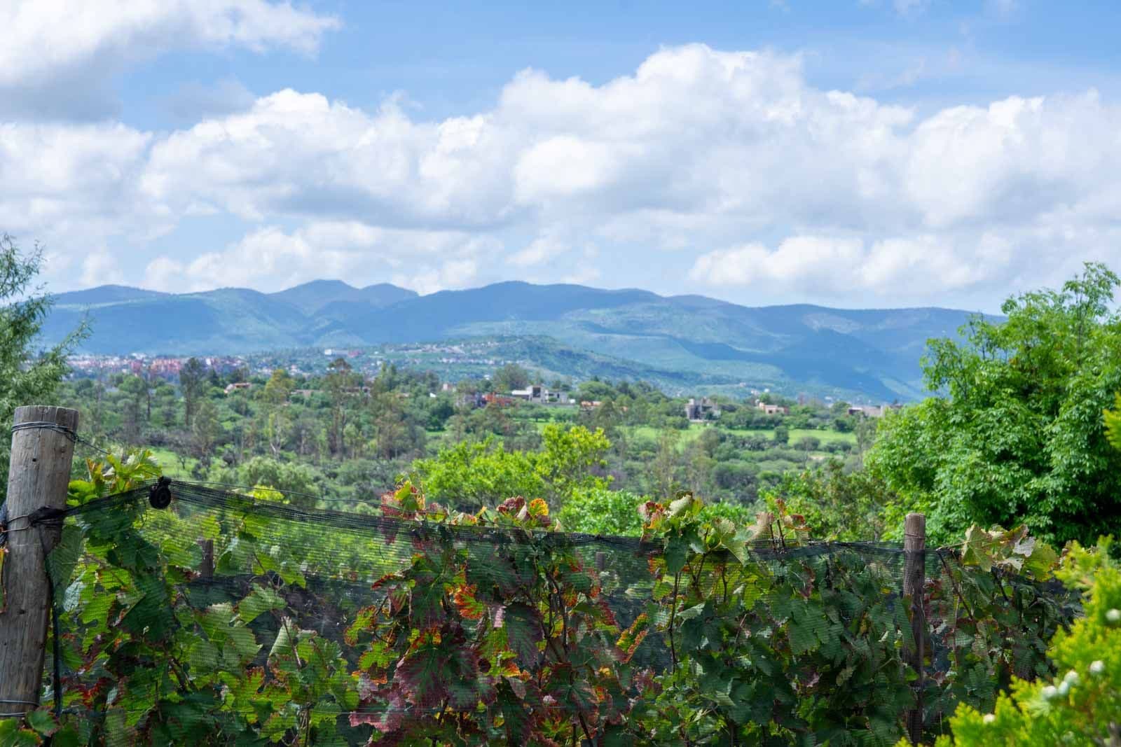 La Loma Lot 3 — photo 10 of 10