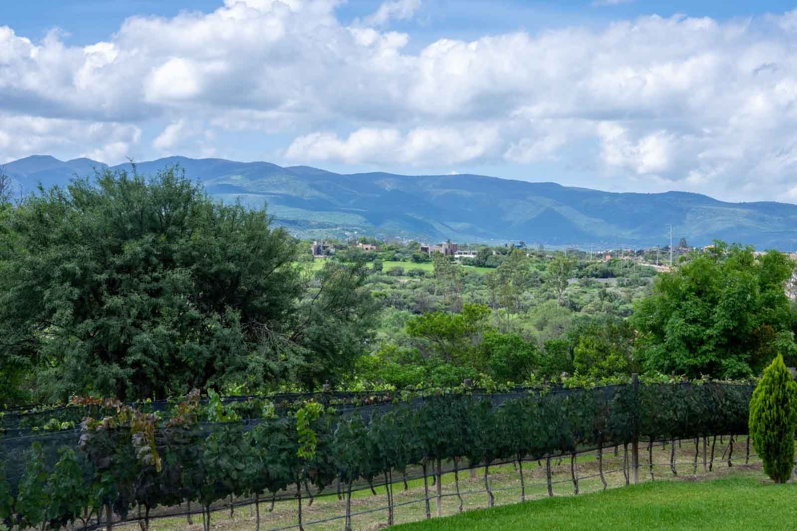 La Loma Lot 3 — photo 8 of 10