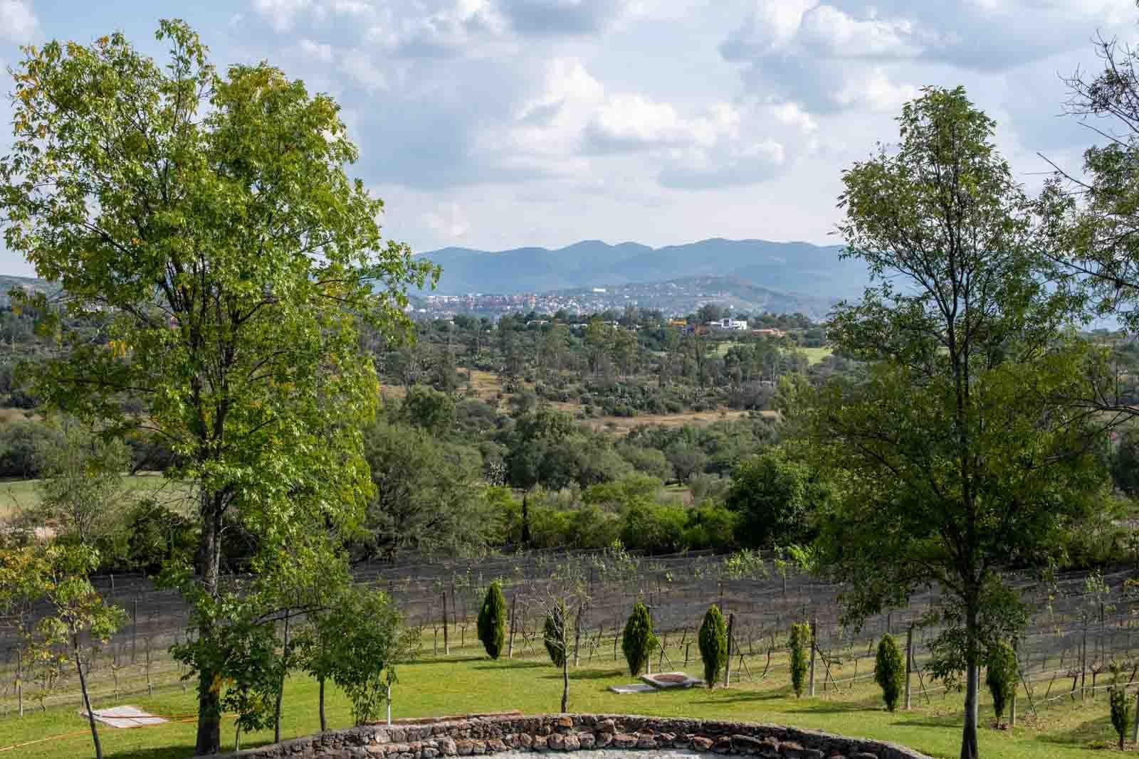 La Loma Lot 3 — photo 6 of 10