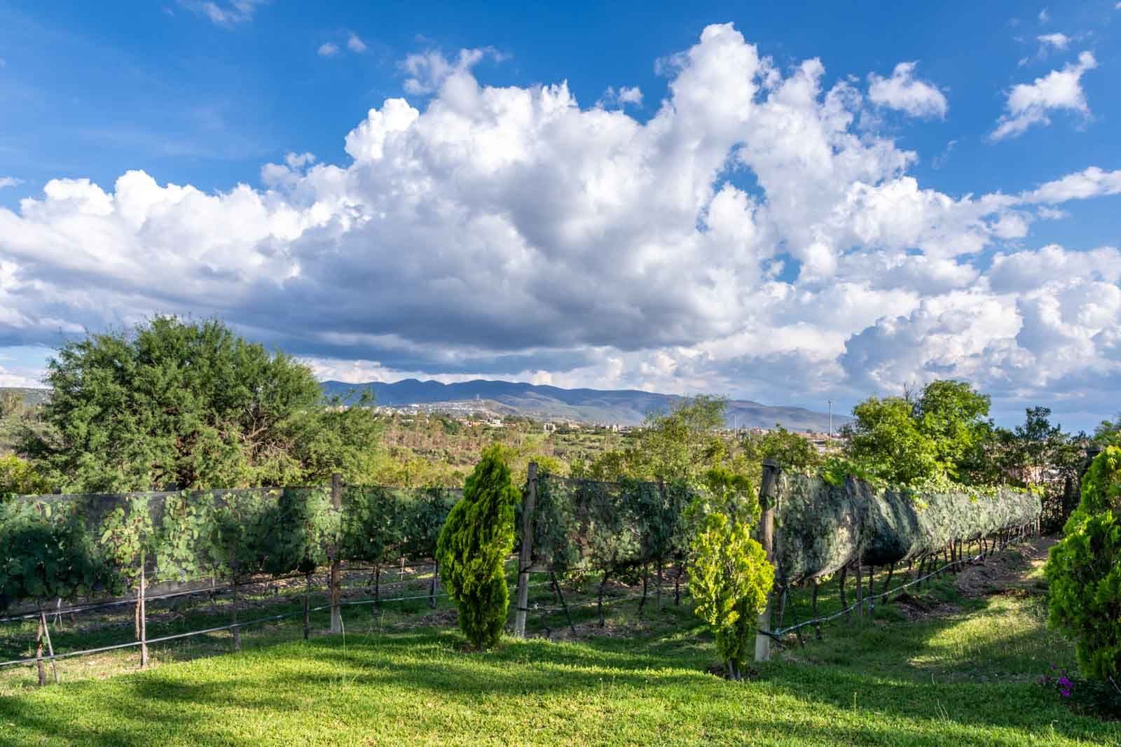 La Loma Lot 3 — photo 9 of 10