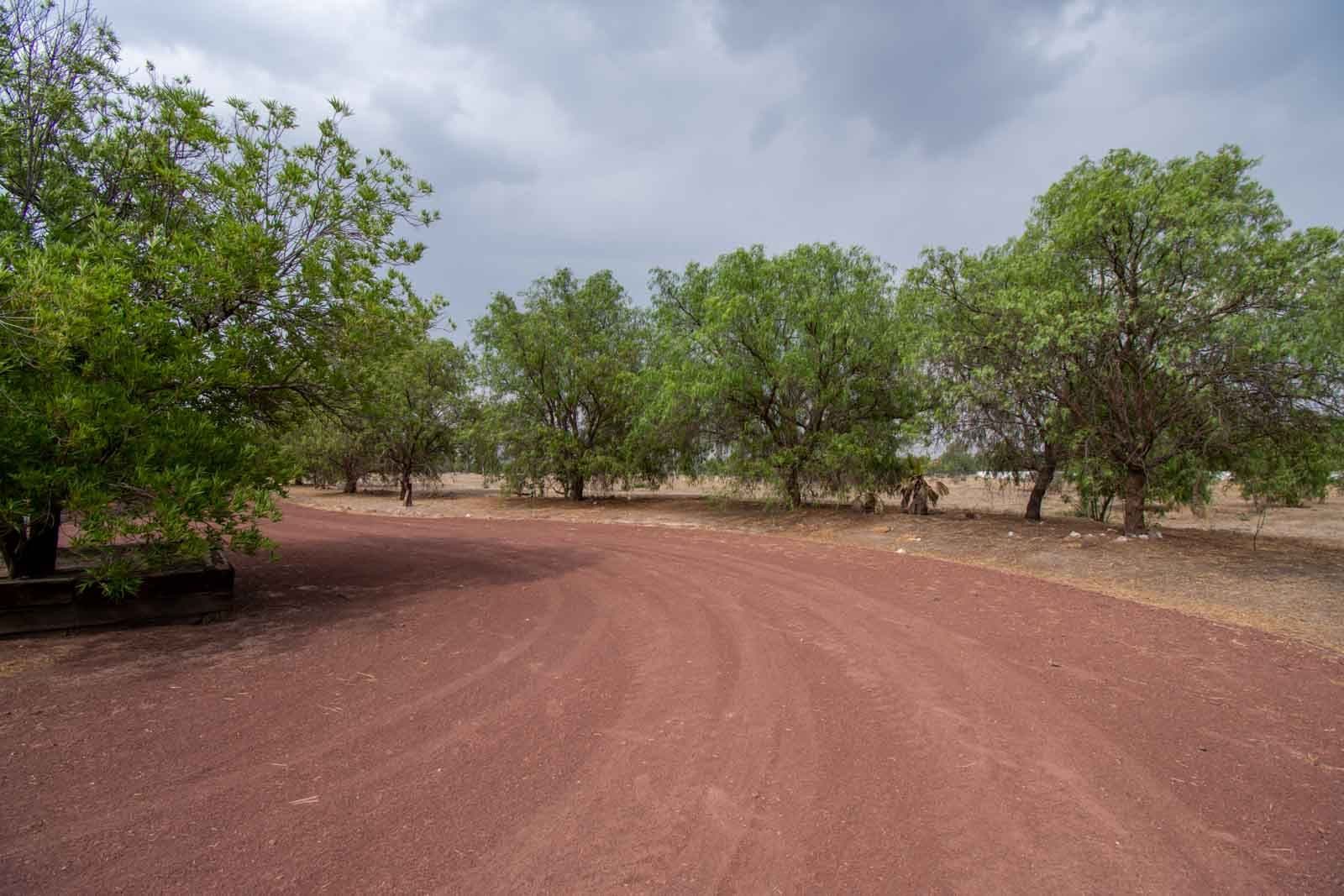 Las Fincas Lot 15 — photo 10 of 10