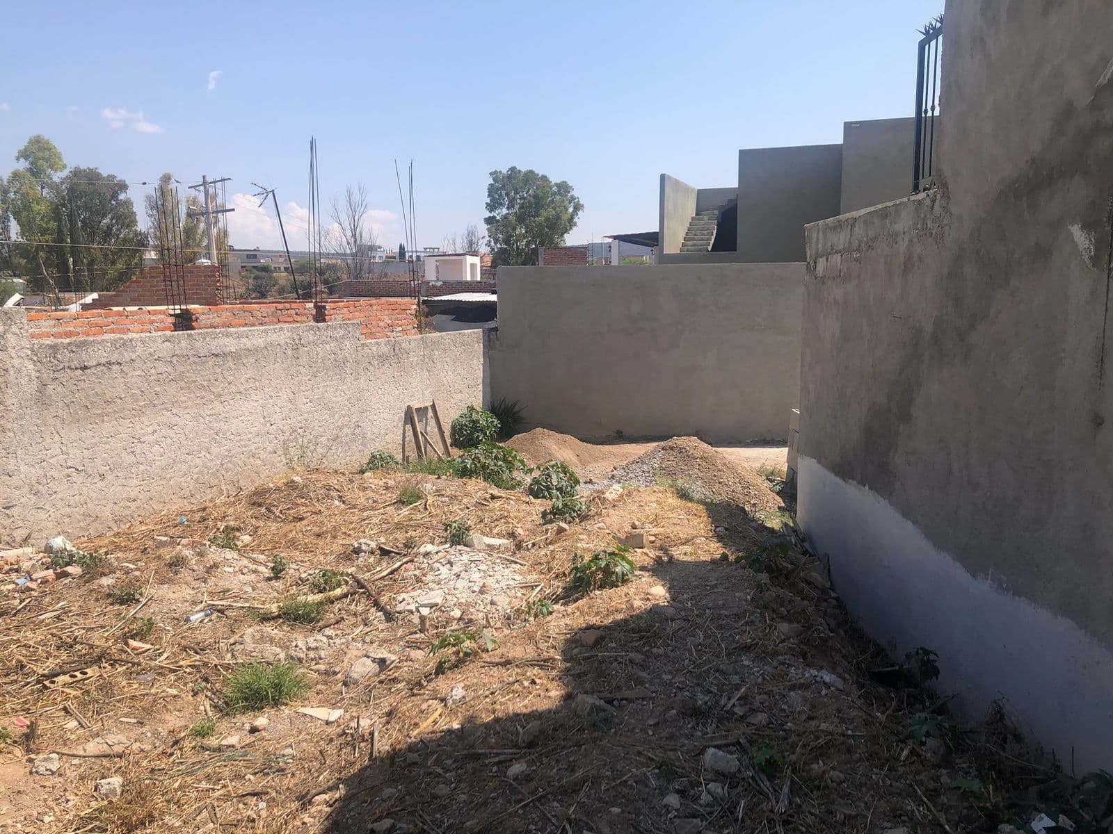 Nuevo — photo 2 of 6