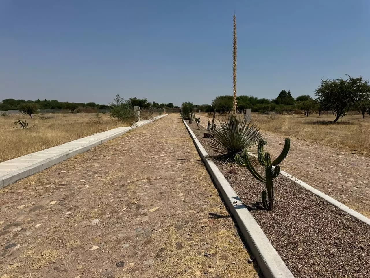 Ejido de la Vivienda no#38 — photo 3 of 4