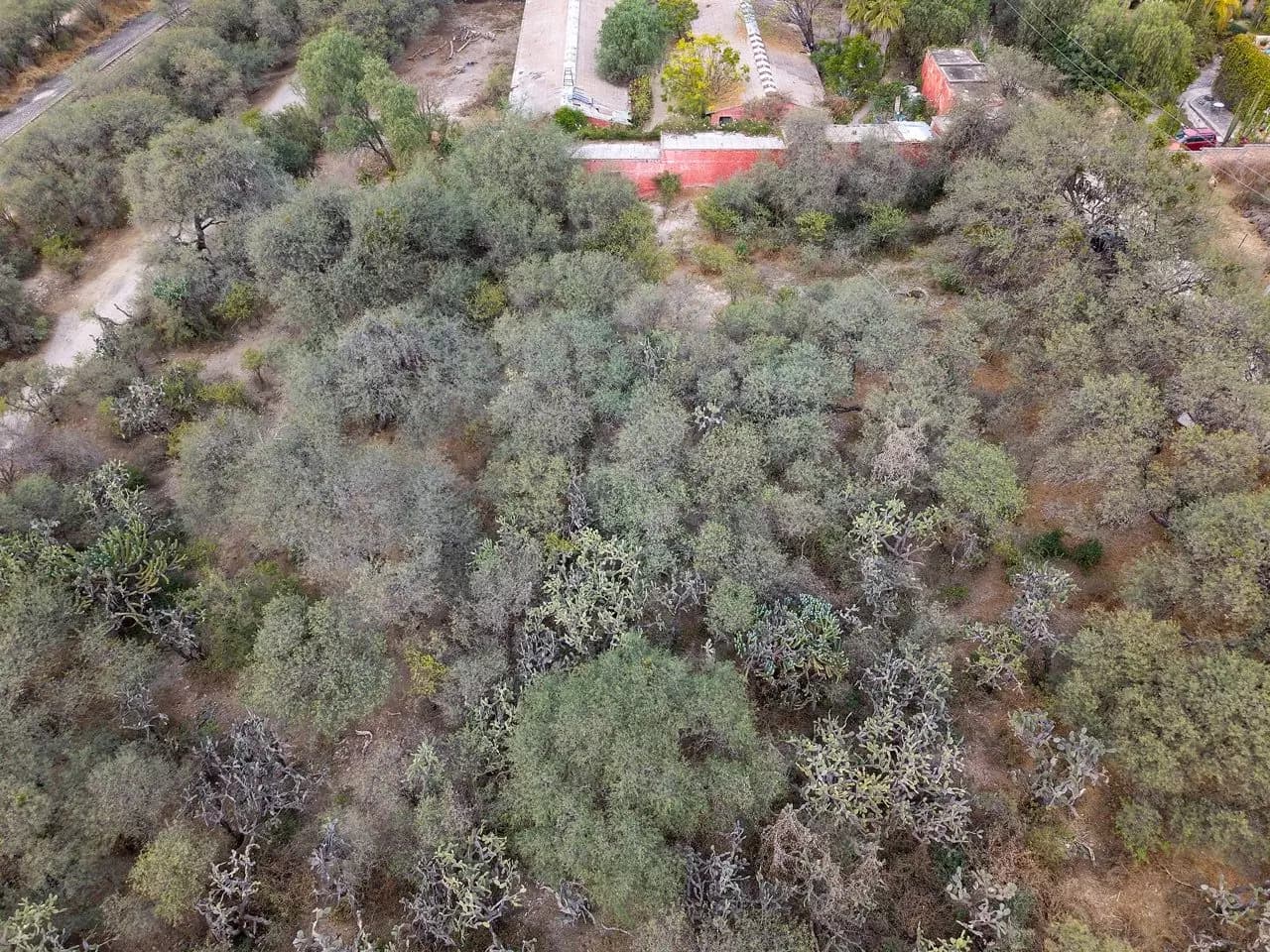 Lote Pedro Paramo 26 — photo 9 of 10