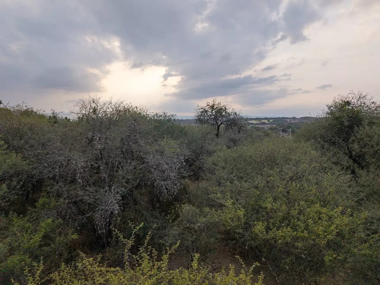 Lote Pedro Paramo 26 — photo 8 of 10