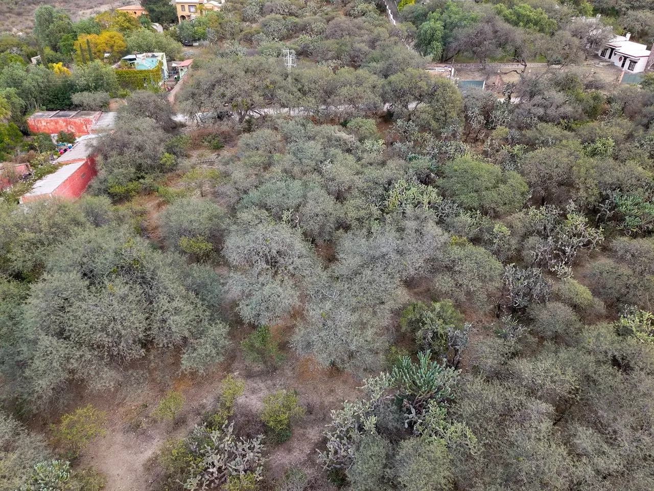 Lote Pedro Paramo 26 — photo 3 of 10