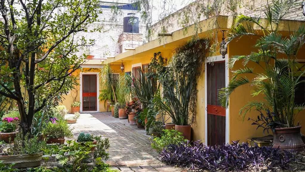 Casa Alegre — photo 2 of 6