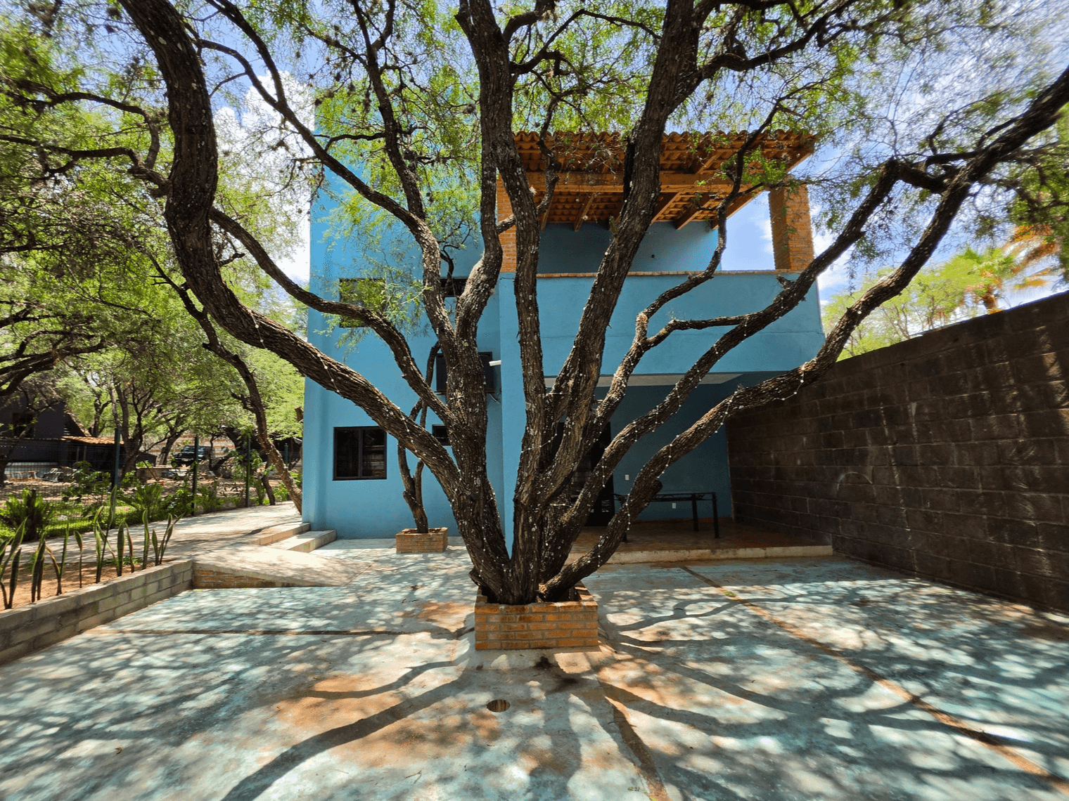 Casa Tecolotl — photo 1 of 10