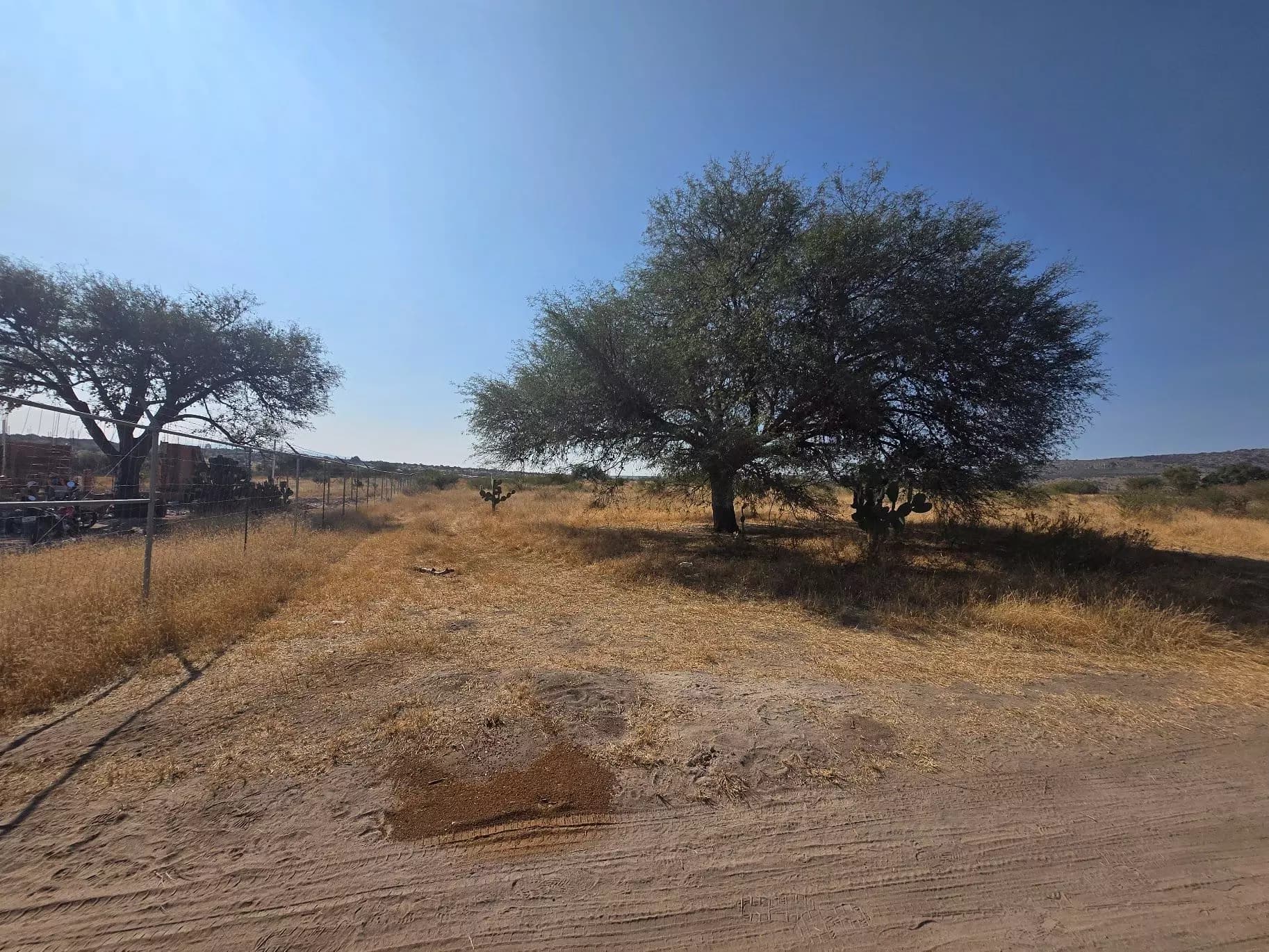 Lote Tequis 5000 — photo 6 of 6