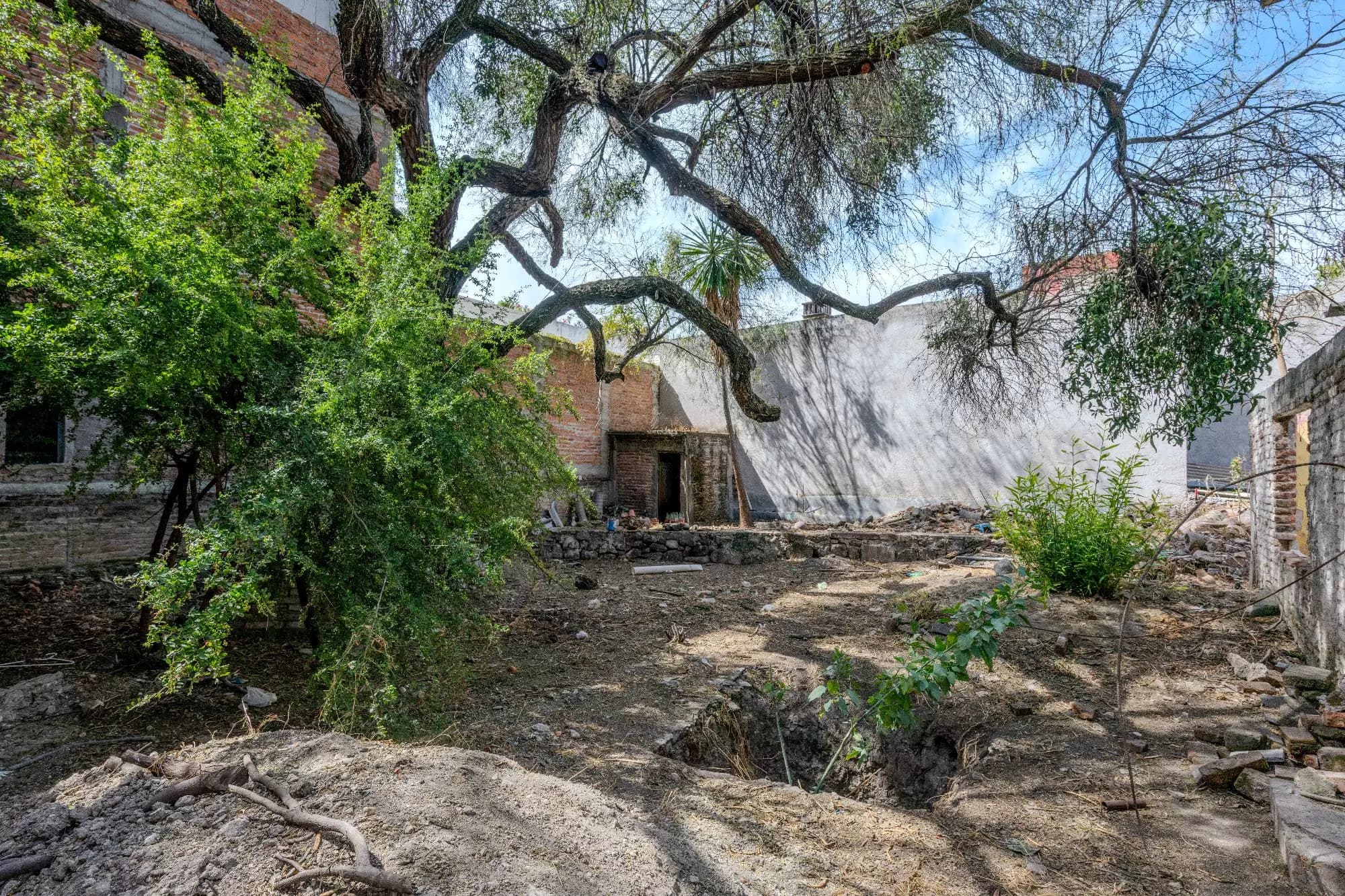 Lote Garza — photo 2 of 8