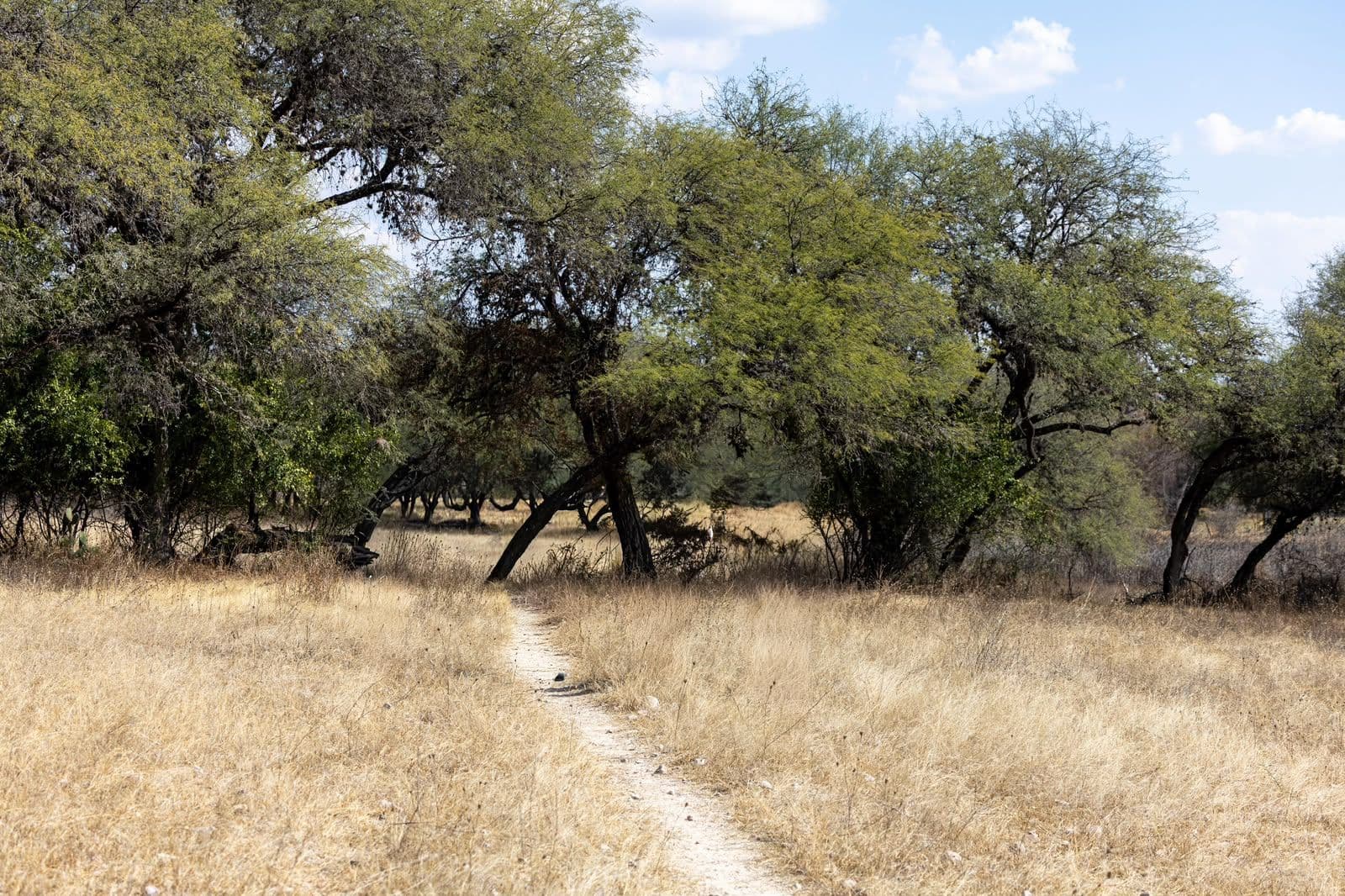 LOTE RANCHO NUEVO — photo 10 of 10