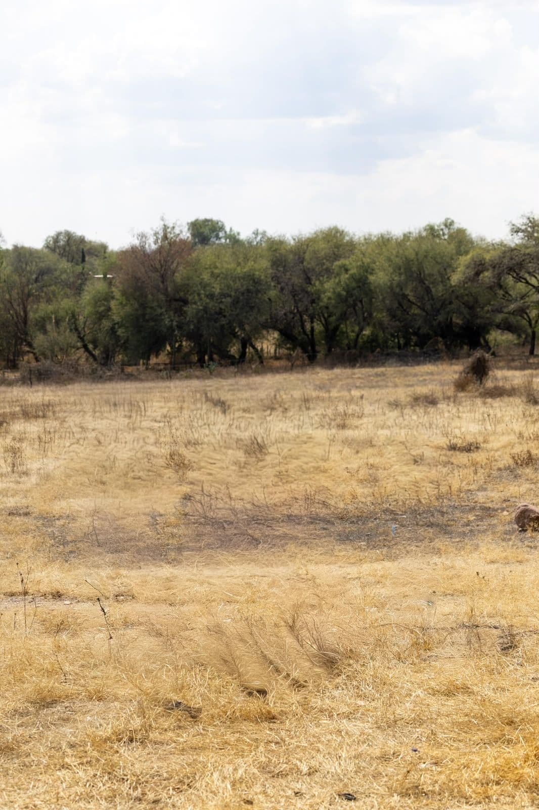 LOTE RANCHO NUEVO — photo 2 of 10