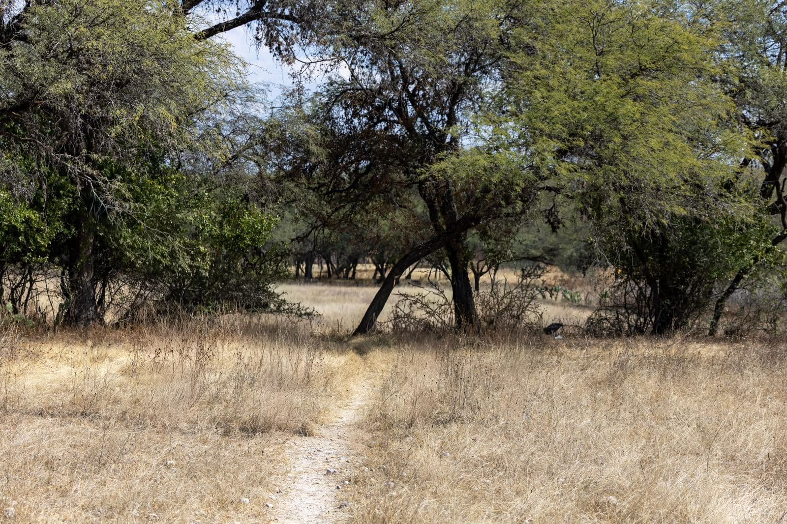 LOTE RANCHO NUEVO — photo 7 of 10