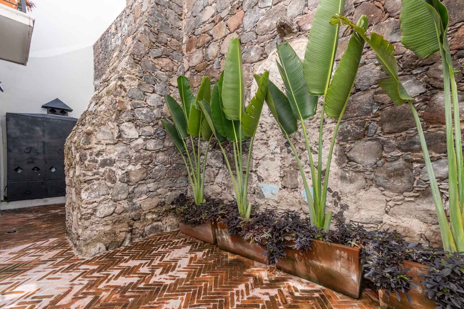 Casa Jacaranda — photo 9 of 10