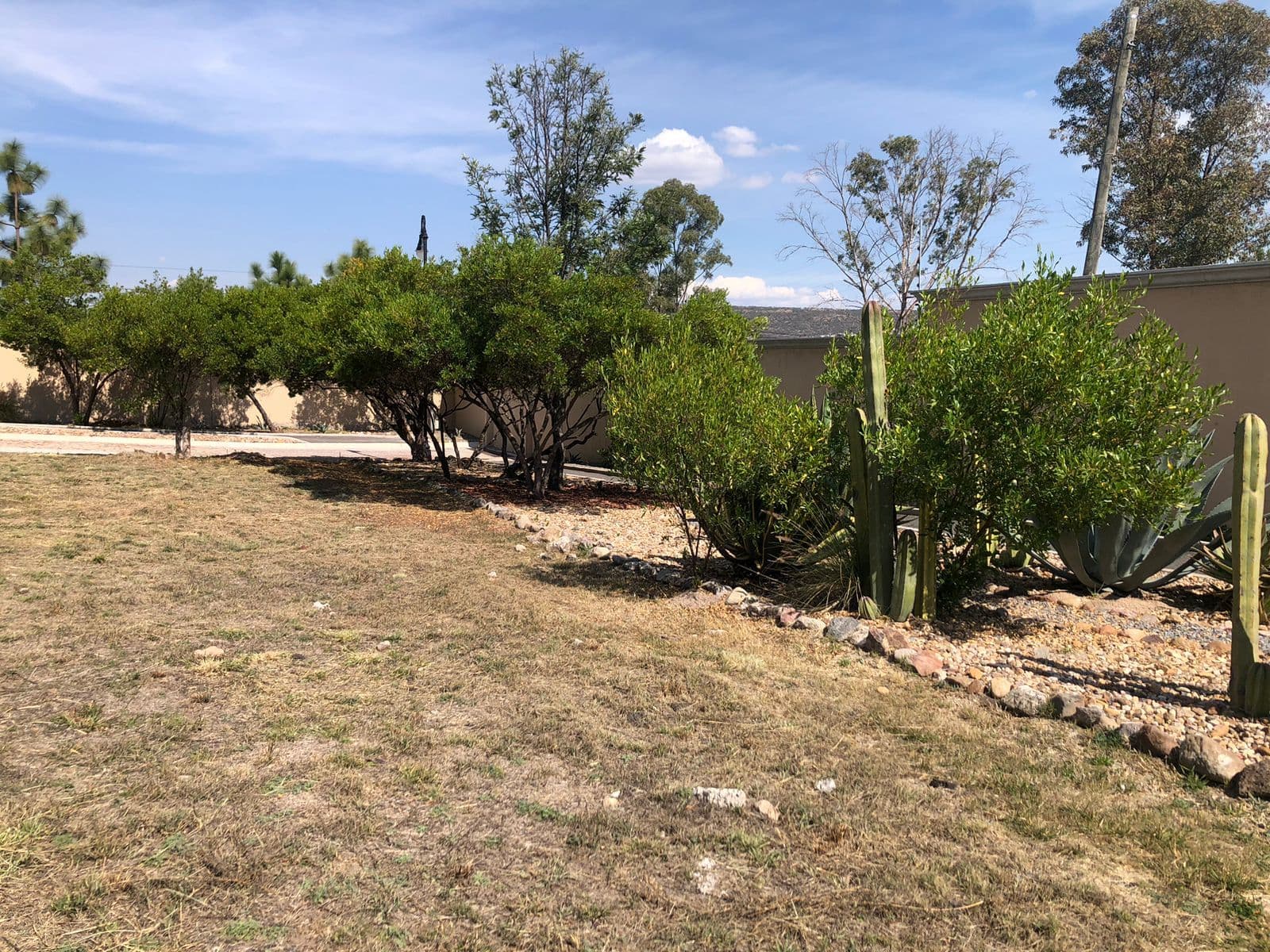 Lote Agave, Vista Antigua — photo 2 of 10