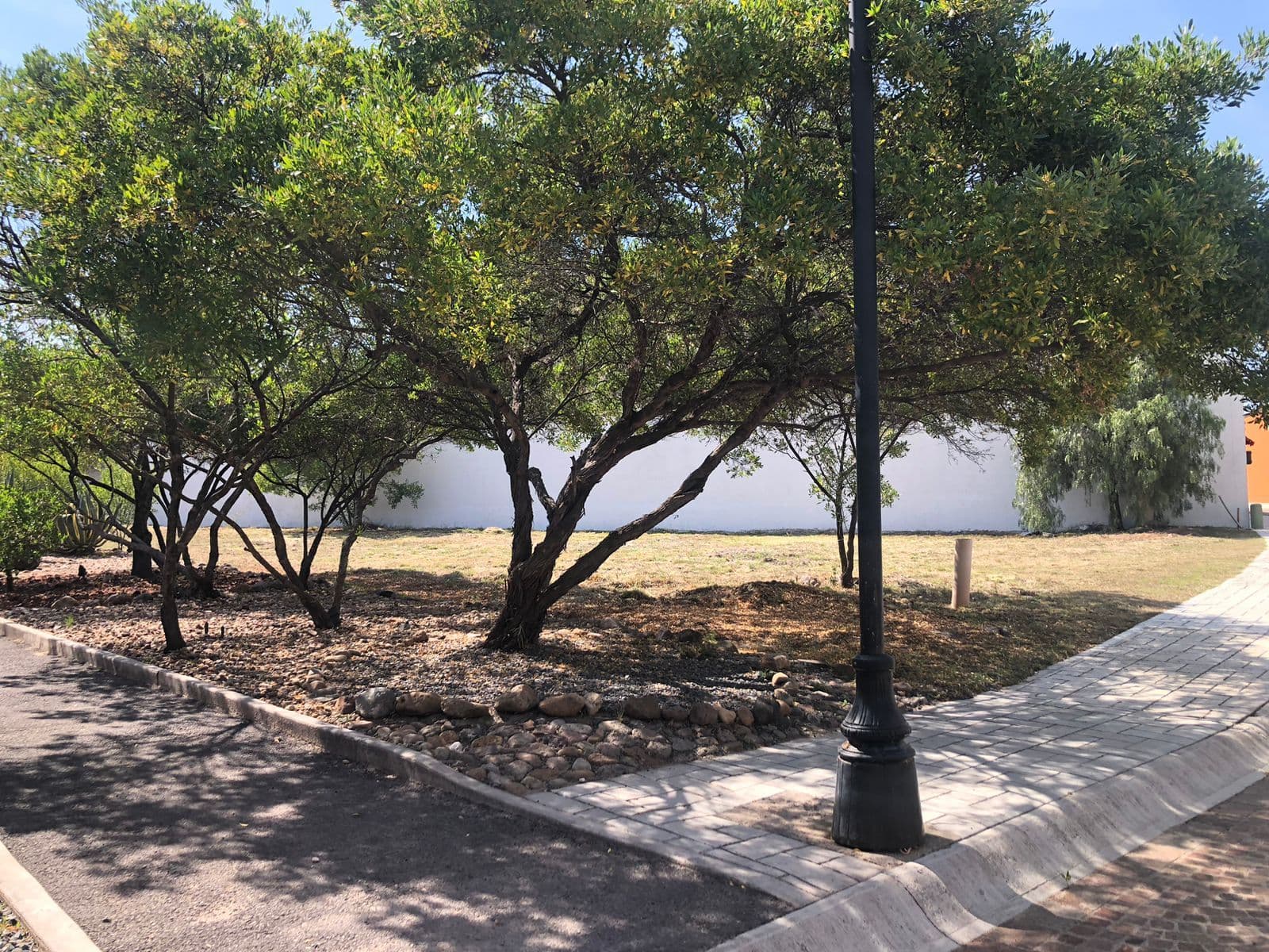 Lote Agave, Vista Antigua — photo 10 of 10
