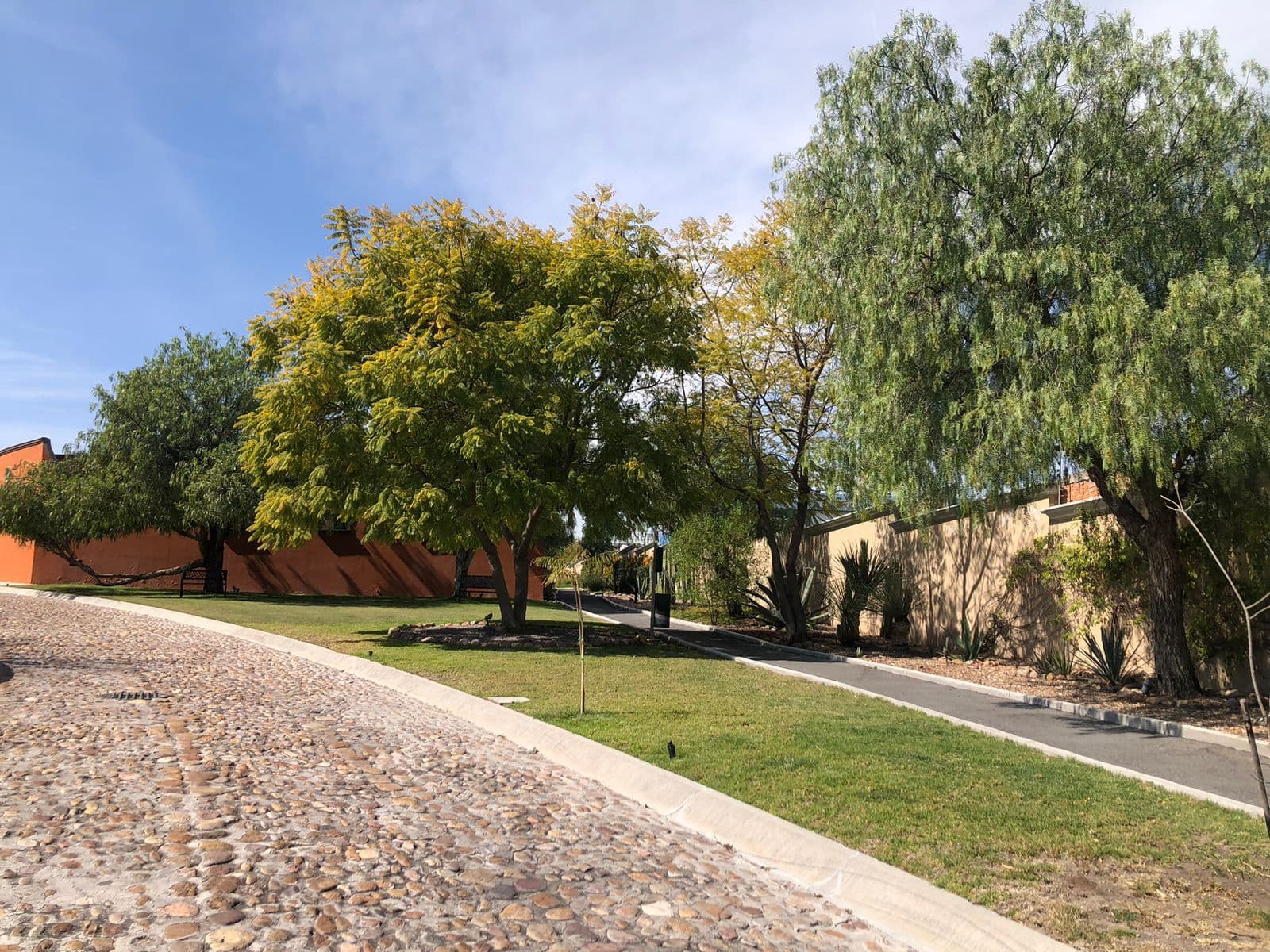Lote Agave, Vista Antigua — photo 8 of 10