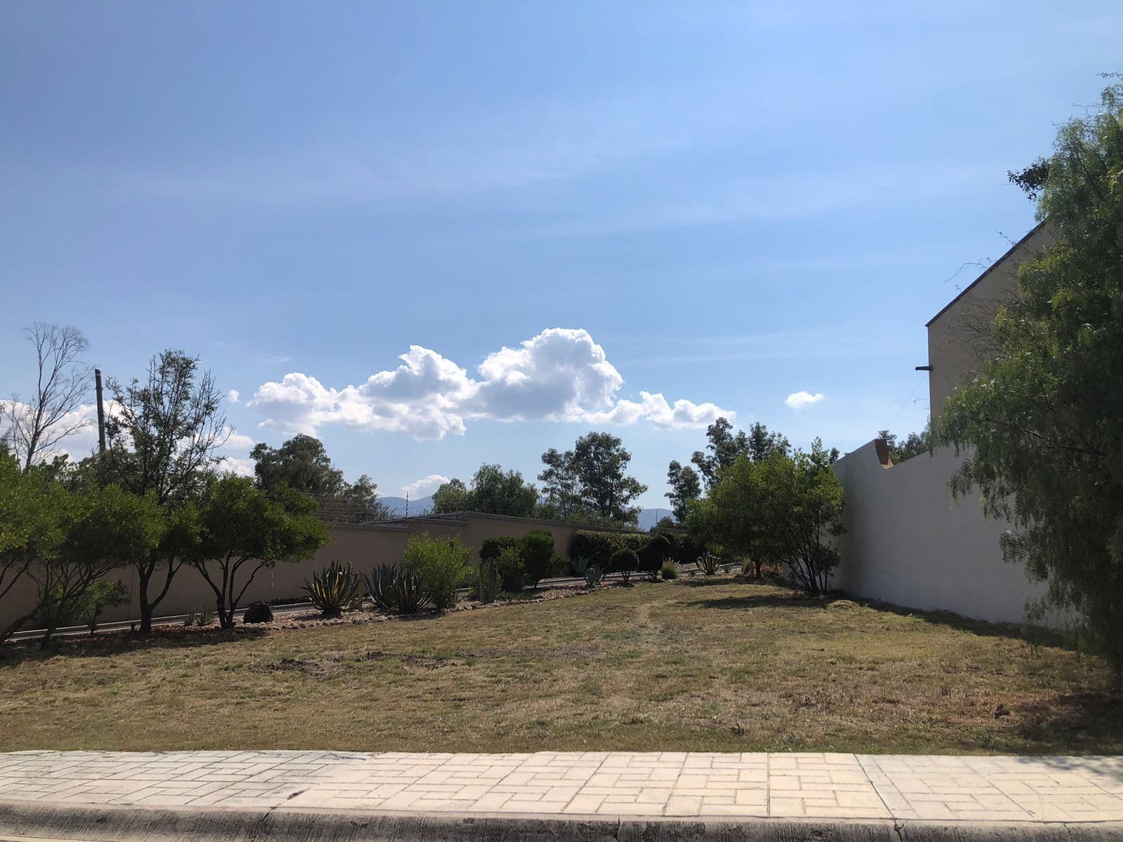 Lote Agave, Vista Antigua — photo 4 of 10