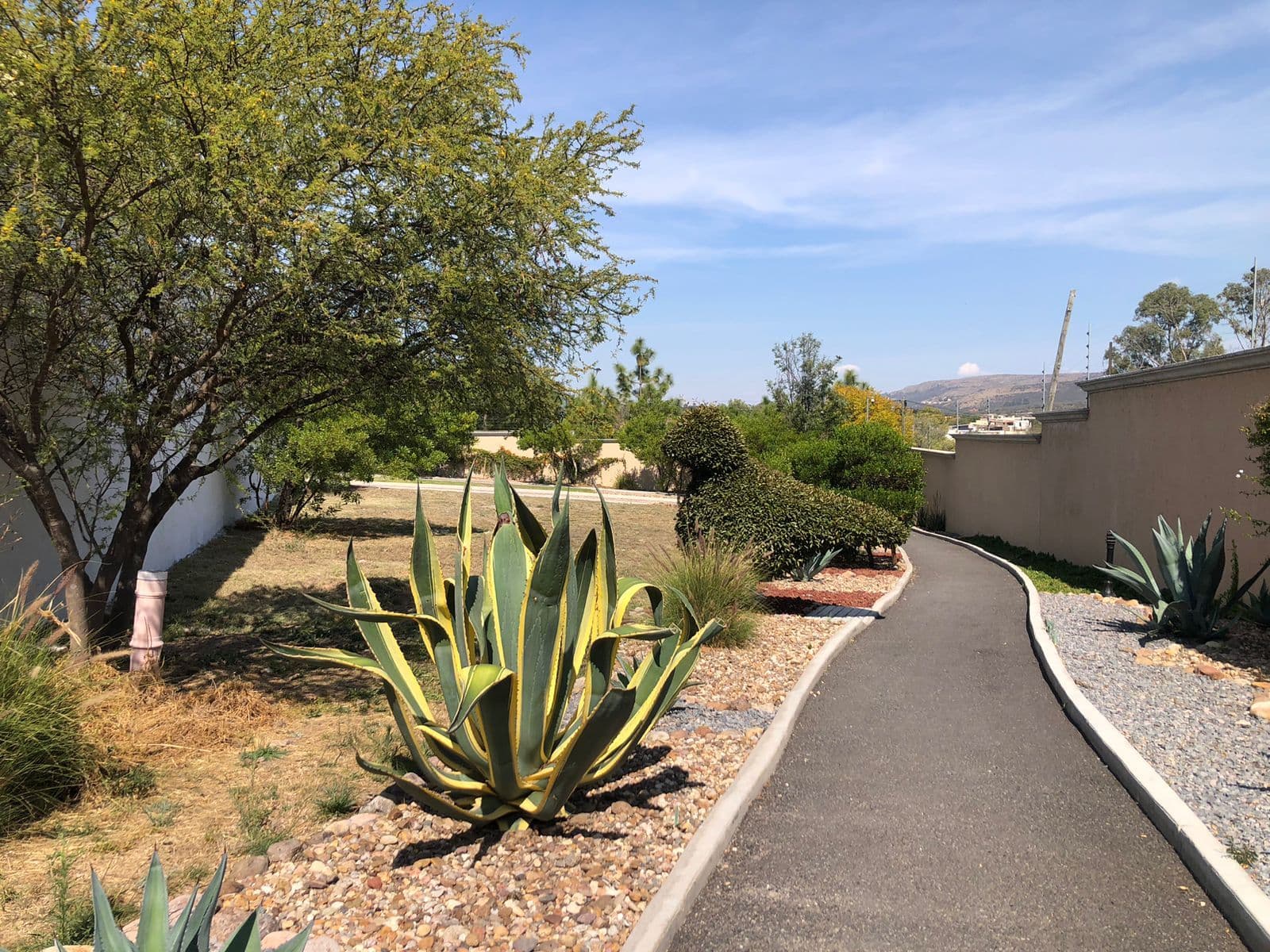 Lote Agave, Vista Antigua — photo 5 of 10